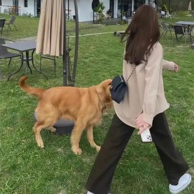 人体谬误